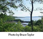 Photo by Bruce Taylor