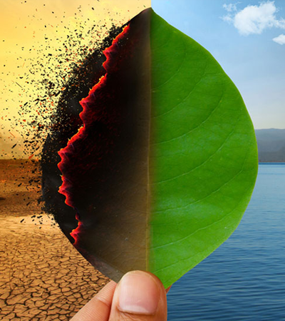 A photo of someone holding a leaf that is half burned showing extremes in climate.